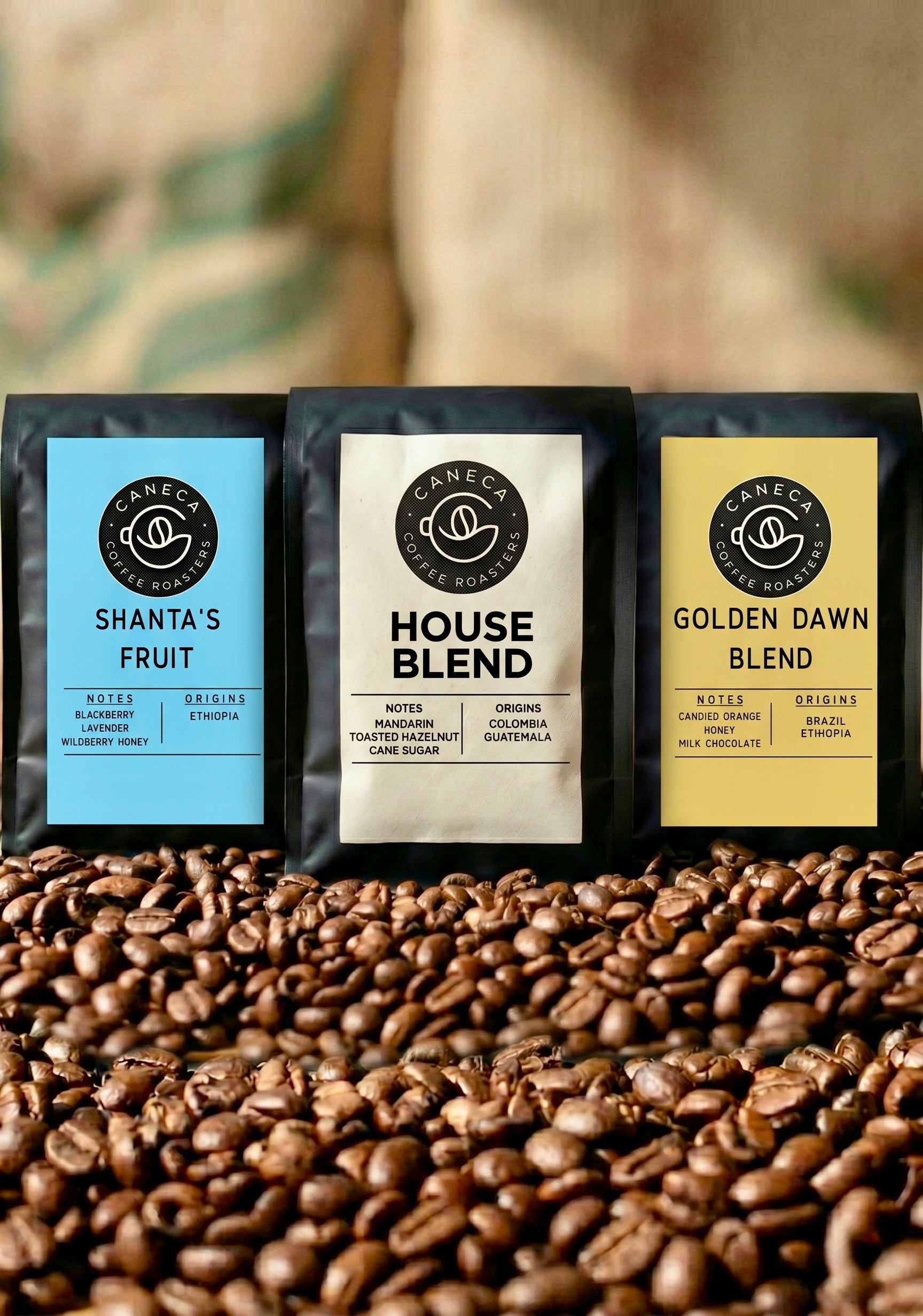 Light Roast Bundle