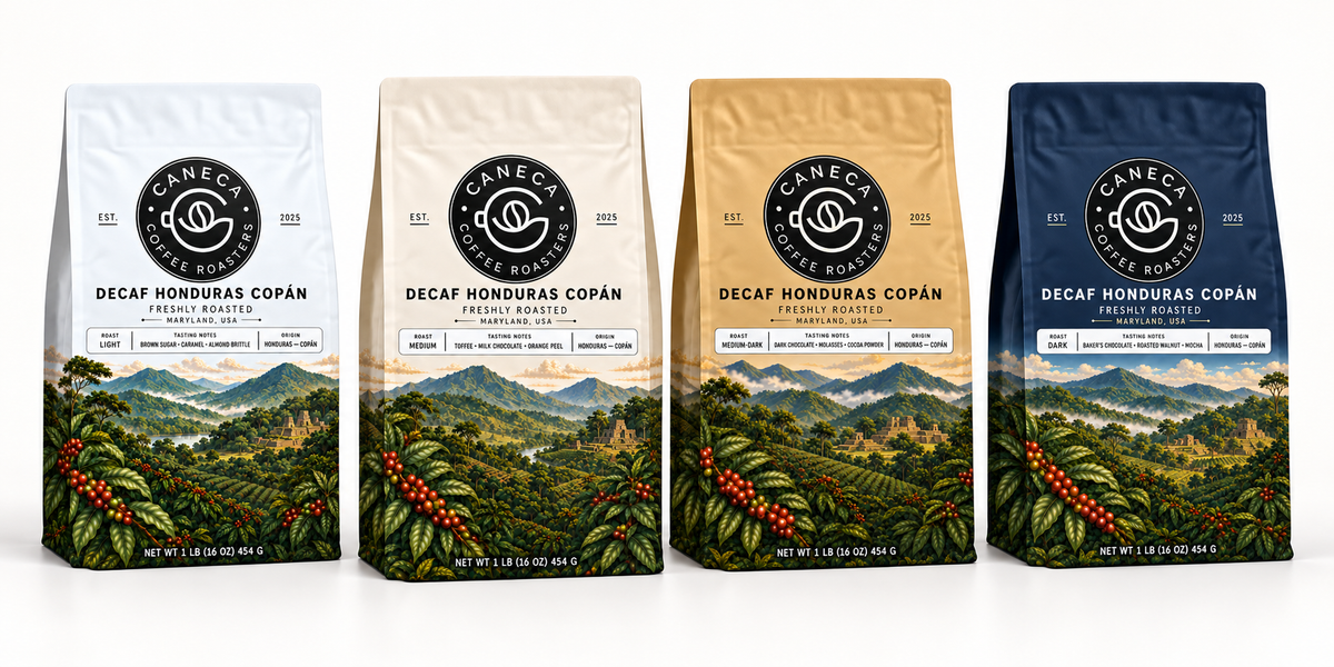 CANECA Decaf Honduras Copan four-roast lineup in white, ivory, champagne gold and navy packaging